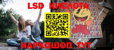 крисы Лесосибирск