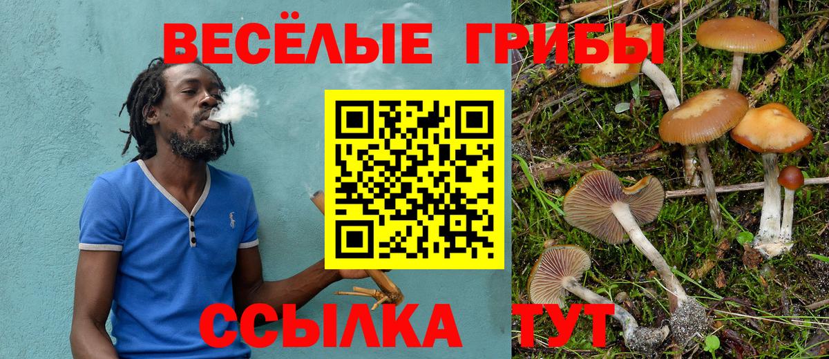 Псилоцибиновые грибы прущие грибы Губаха