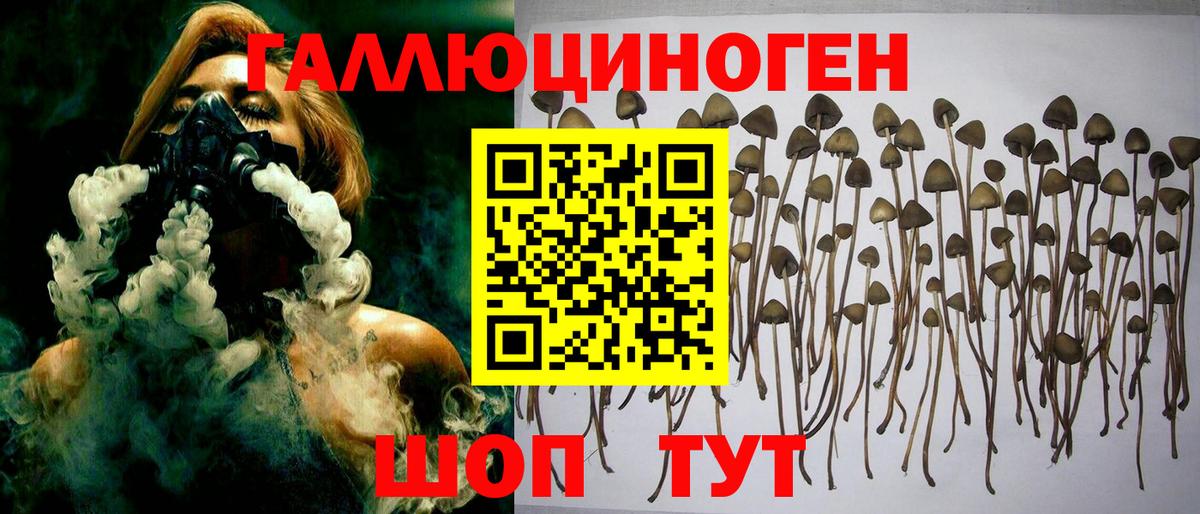 закладки  Вход с VPN  Галлюциногенные грибы ЛСД  Губаха  Галлюциногенные грибы ЛСД 