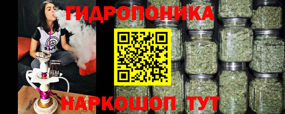 Каннабис марихуана Губаха